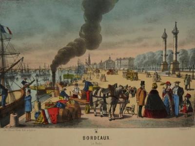 PINOT Olivier éditeur