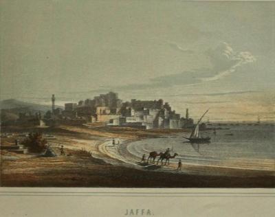 SKEINKOPF Jean-Fran�ois, �diteur