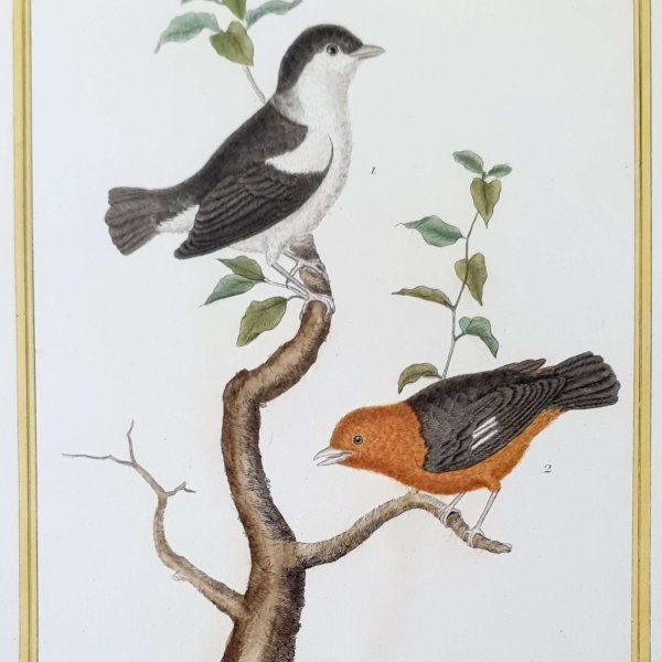 MARTINET, François Nicolas