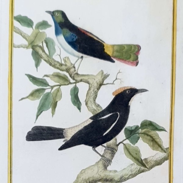 MARTINET, François Nicolas