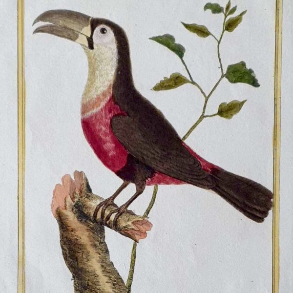 MARTINET François Nicolas