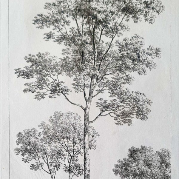 COUCHÉ Jacques