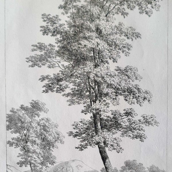 COUCHÉ Jacques