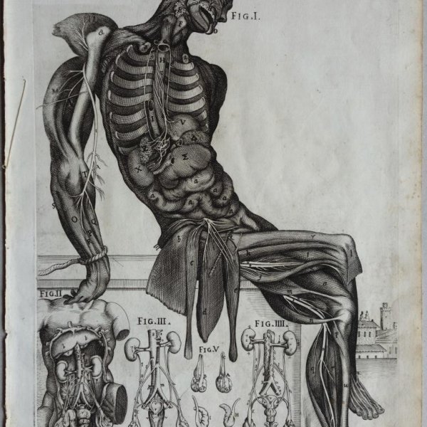 CORTONA Pietro da (after)