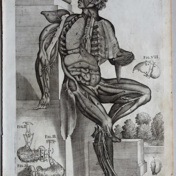 CORTONA Pietro da (after)