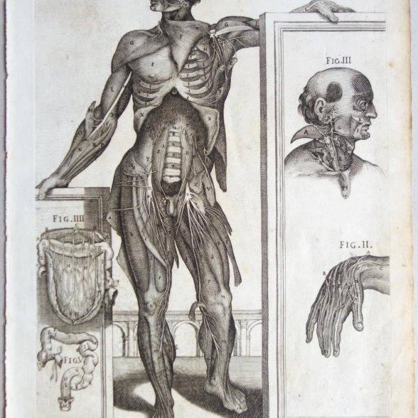 CORTONA Pietro da (after)