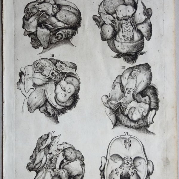 CORTONA Pietro da (after)