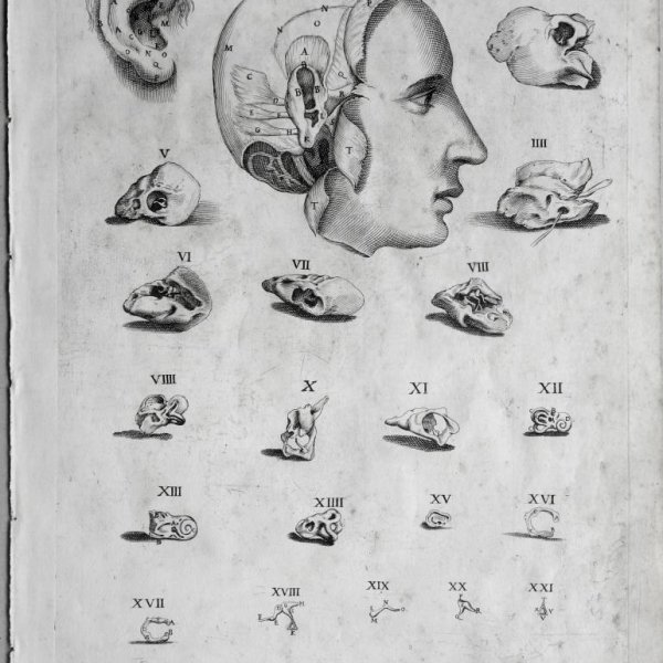 CORTONA Pietro da (after)