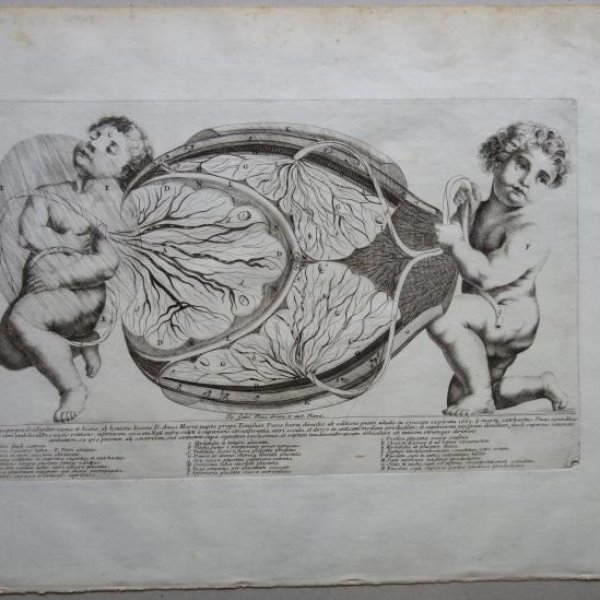 ITALIAN SCHOOL FROM THE 18TH CENTURY