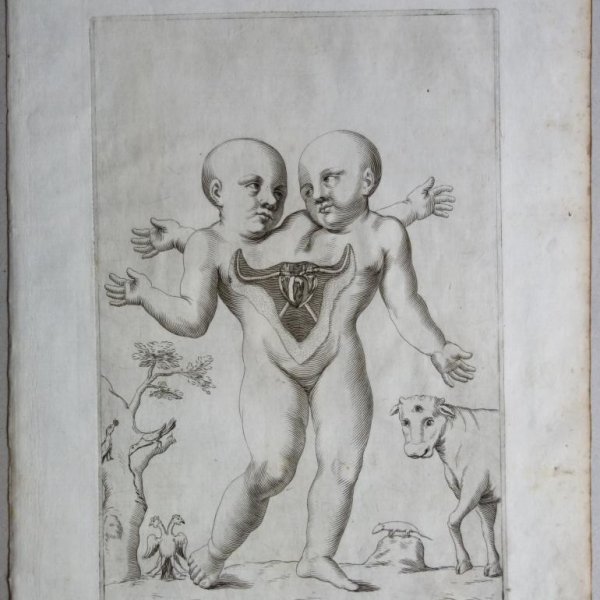 ITALIAN SCHOOL FROM THE 18TH CENTURY