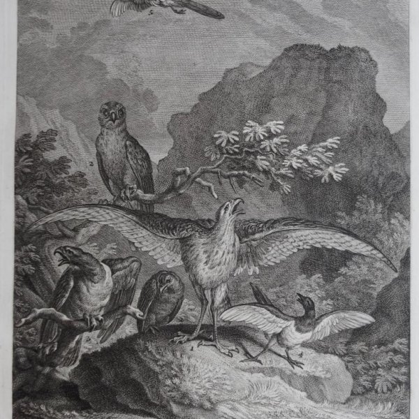 RIDINGER Martin Elias