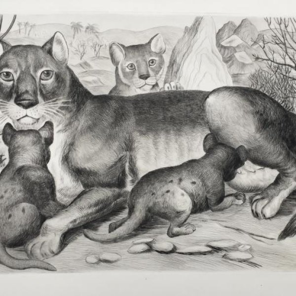 FRENCH SCHOOL OF THE XXth CENTURY