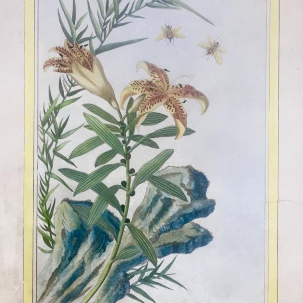 BUC'HOZ Pierre-Joseph