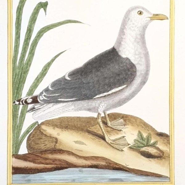 MARTINET, François Nicolas