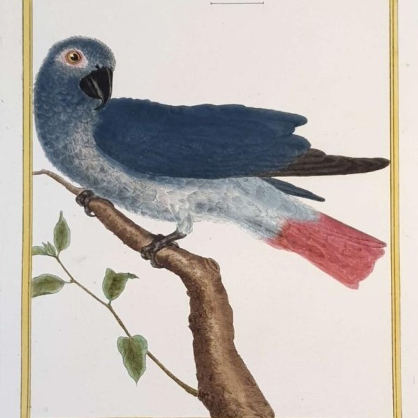 MARTINET, François Nicolas