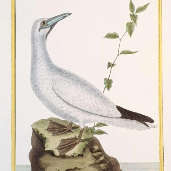 MARTINET, François Nicolas