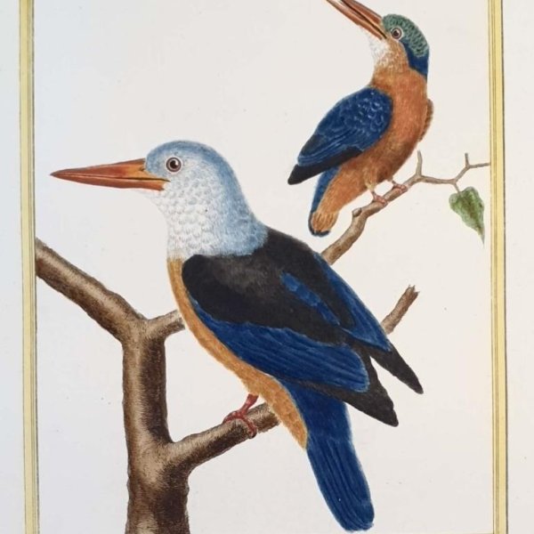 MARTINET, François Nicolas