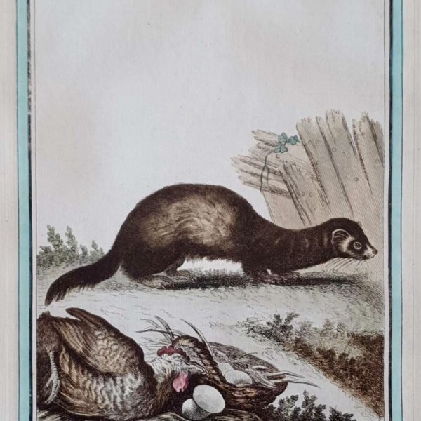 MARTINET, François Nicolas