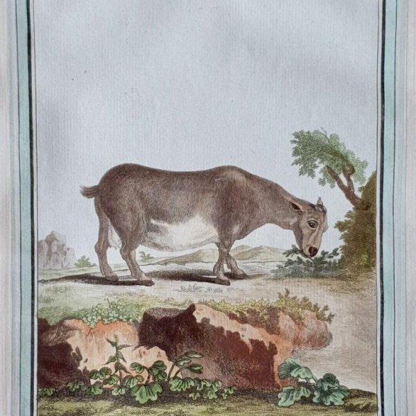 MARTINET, François Nicolas