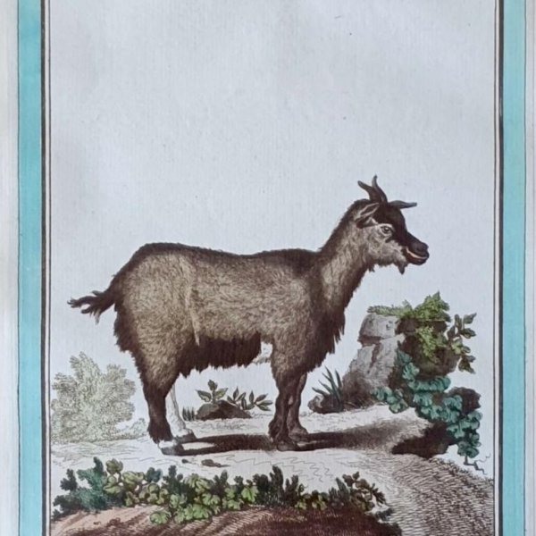 MARTINET, François Nicolas