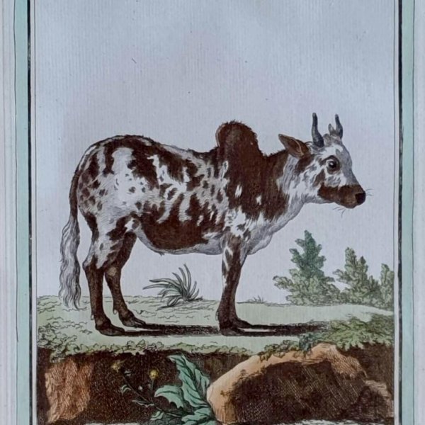 MARTINET, François Nicolas