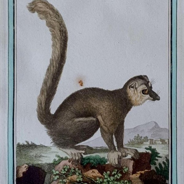 MARTINET, François Nicolas