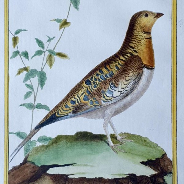 MARTINET, François Nicolas