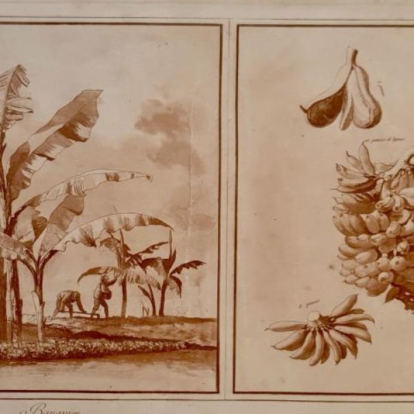 HOUËL Jean Pierre Louis Laurent