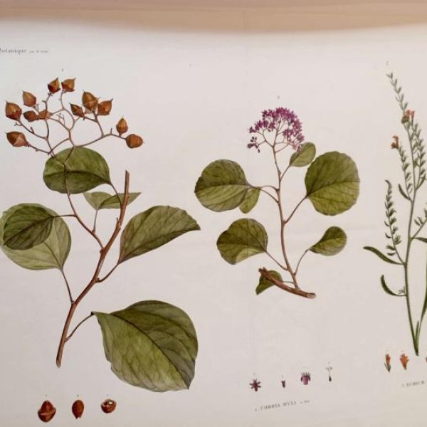 JOMARD Edme-François