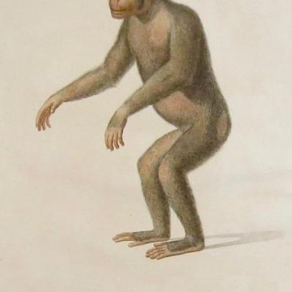 AUDEBERT Jean-Baptiste