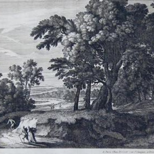 PERELLE Adam and Nicolas