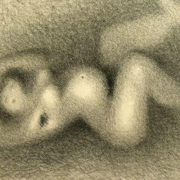 SCHOOL OF THE XXTH CENTURY