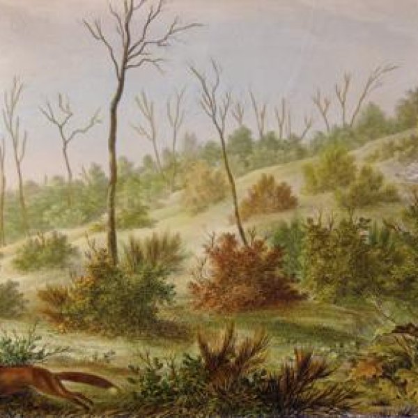 LANGLUMÉ Pierre, printer-lithograph