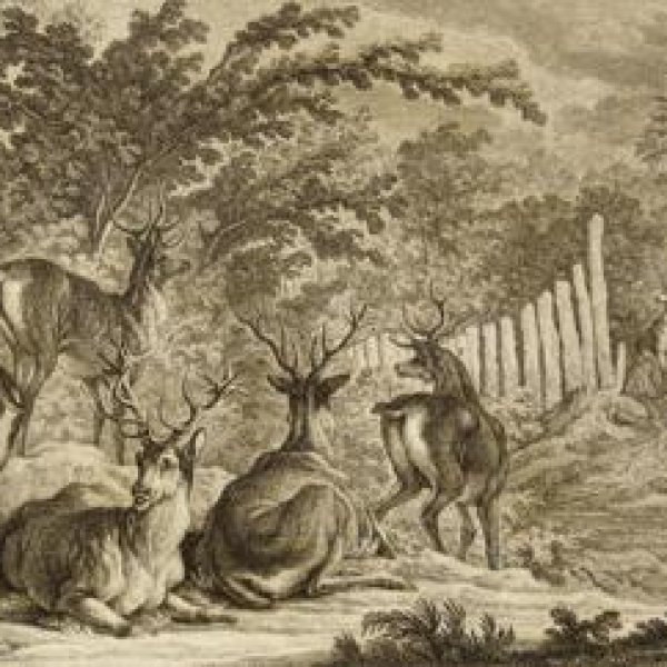 RIDINGER Johann Elias