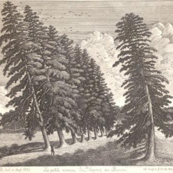 (copie de) (copie de) (copie de) (copie de) (copie de) (copie de) (copie de) (copie de) (copie de) (copie de) (copie de) (copie de) (copie de) (copie de) (copie de)