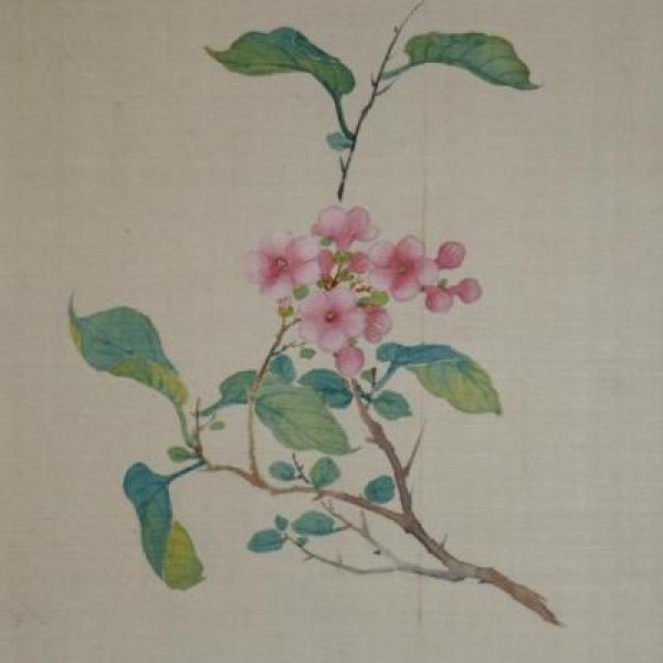 CHINESE SCHOOL OF THE XIXTH CENTURY