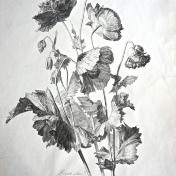 ENGELMANN Godefroy (printer-lithograph)