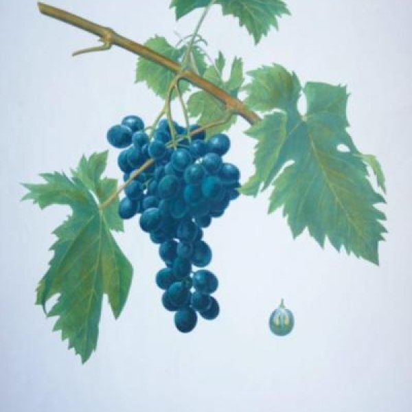 NODE-ST-ANGE Charles