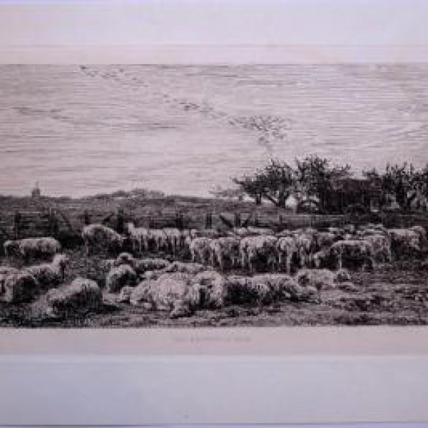 DAUBIGNY Charles François