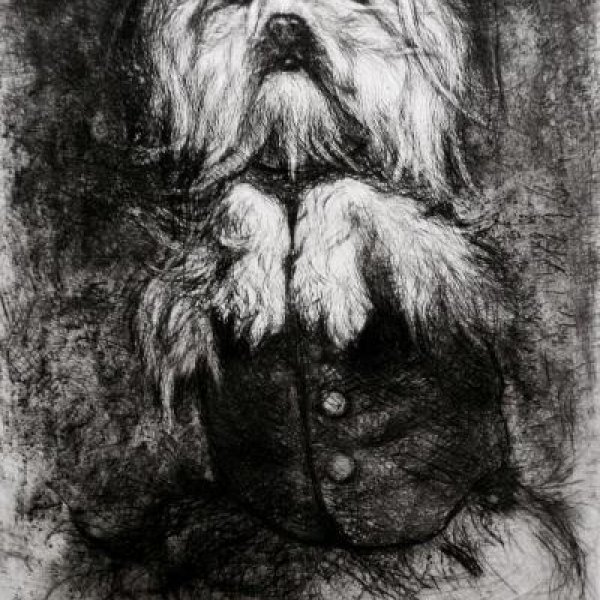 LEPIC Ludovic-Napoléon, comte