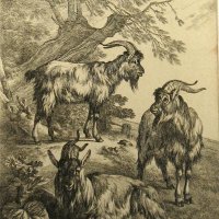 HUET Jean Baptiste, le Jeune